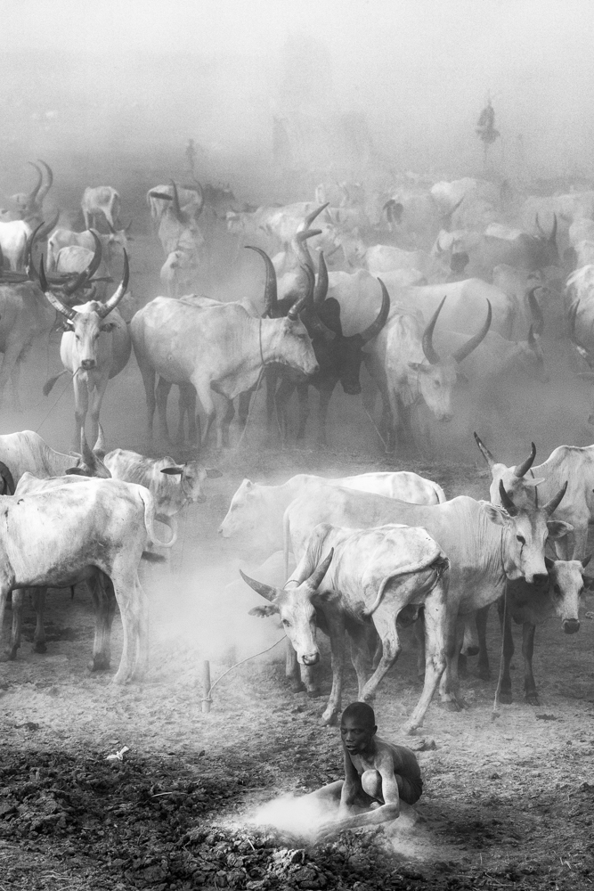 The Mundari cattle camp