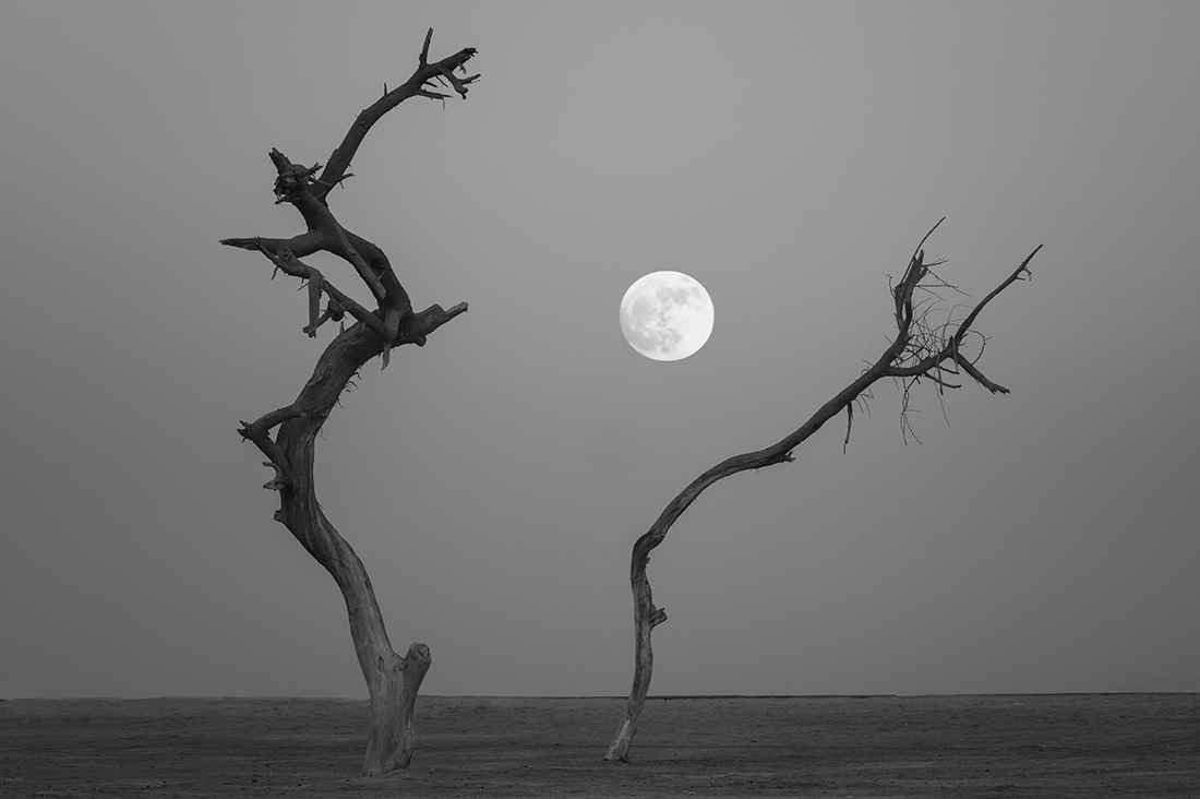 Harvest Moon (Bahrain)