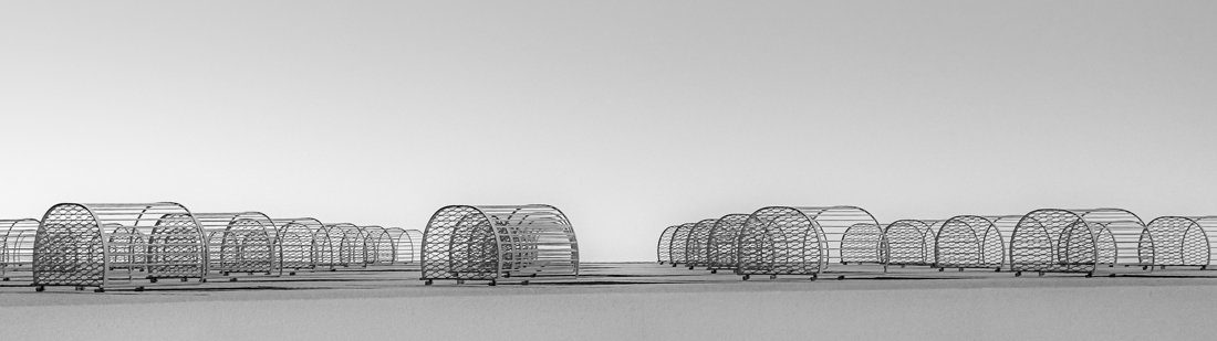  city ​​of cages