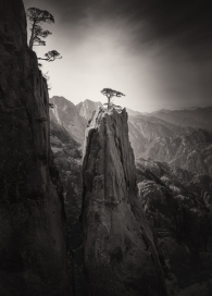 Homage to Huangshan - Study 1