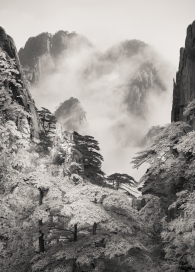 Homage to Huangshan - Study 2