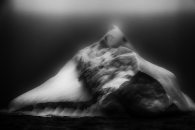 Whimsical Iceberg