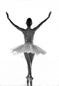 Ballerina penumbra series