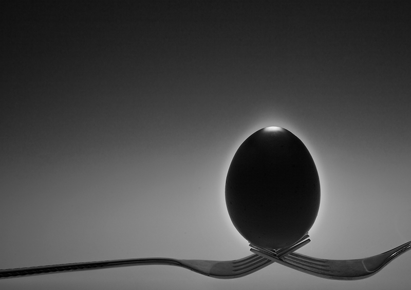 Egg Eclipse