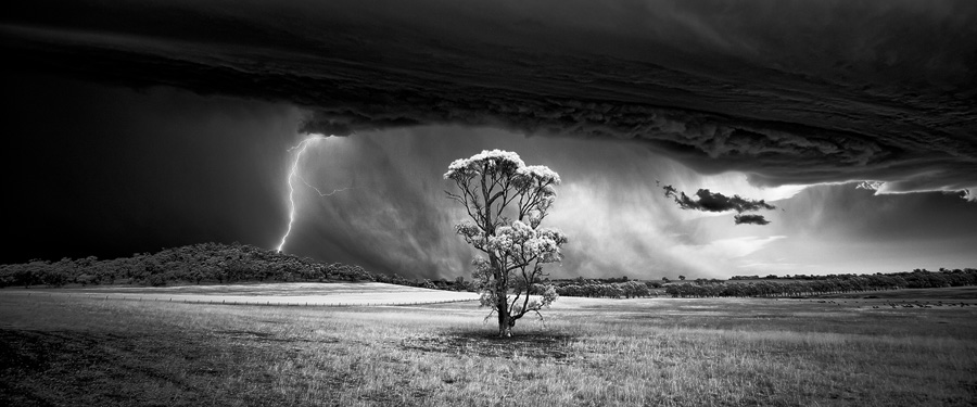 Barossa Bolt