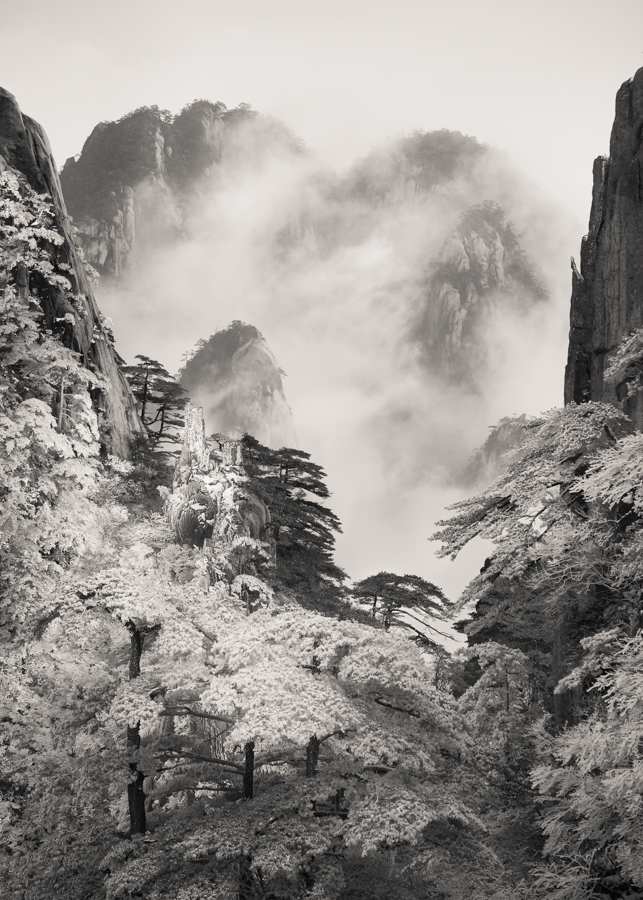Homage to Huangshan - Study 2
