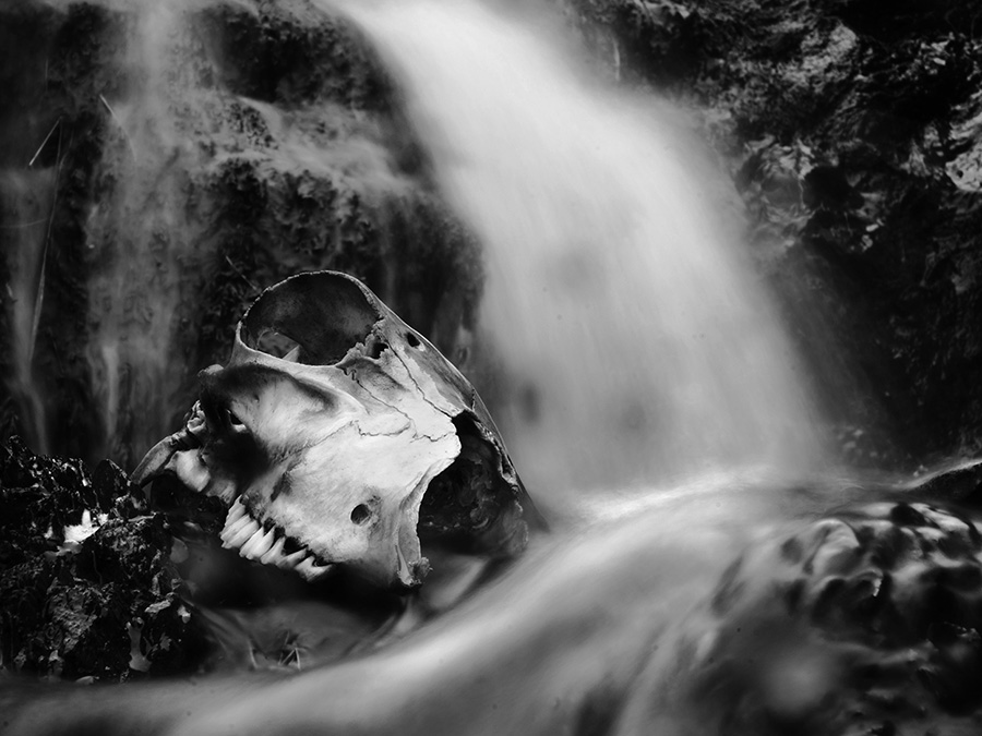 Skull And Waterfall