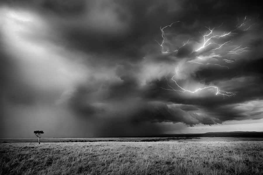 Masai Mara Storm