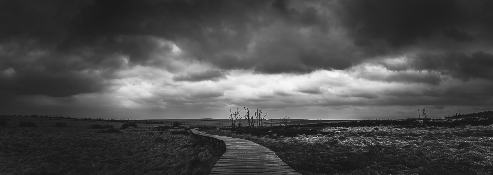 Wooden Path to the End of the World