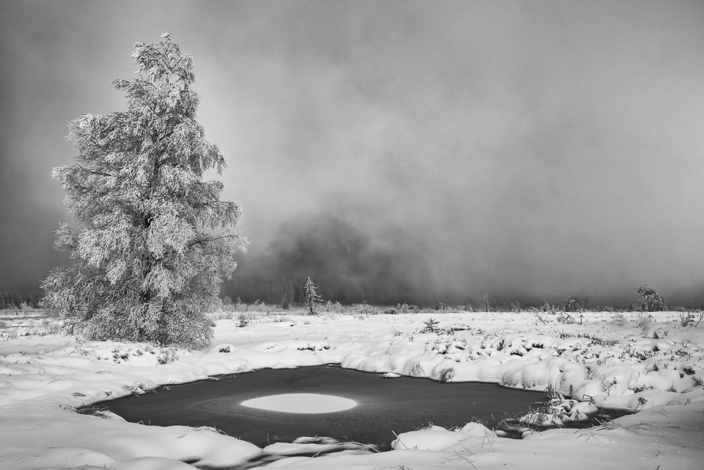 Sugar topping in the High Fens