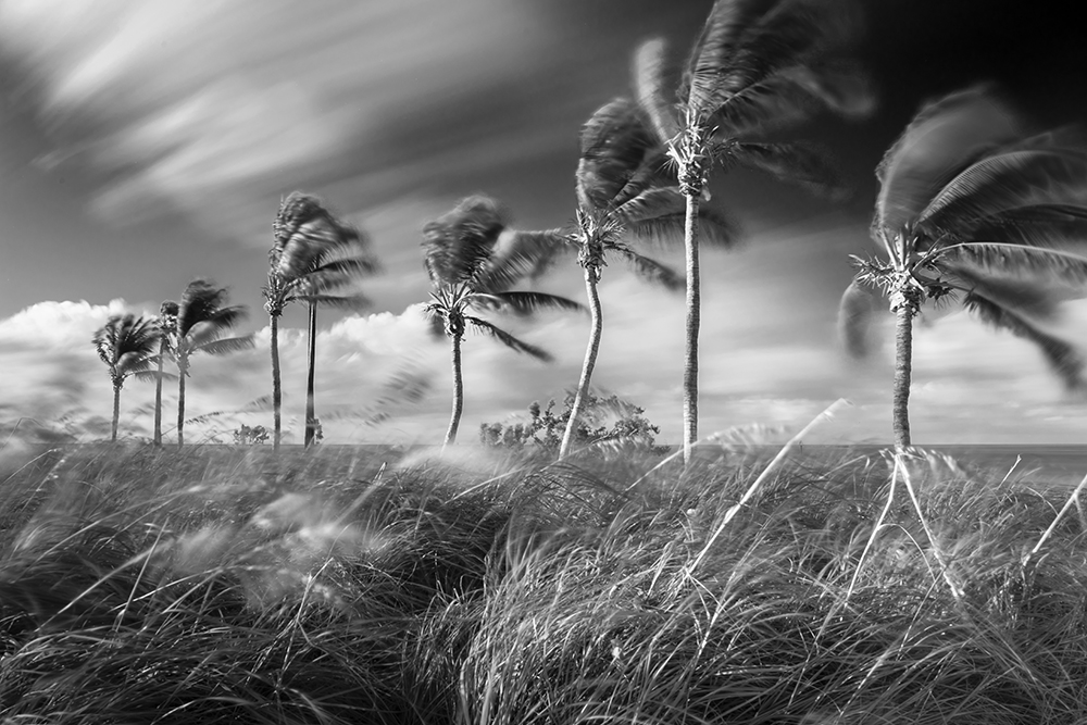 Sombrero Beach, Marathon, Florida Keys