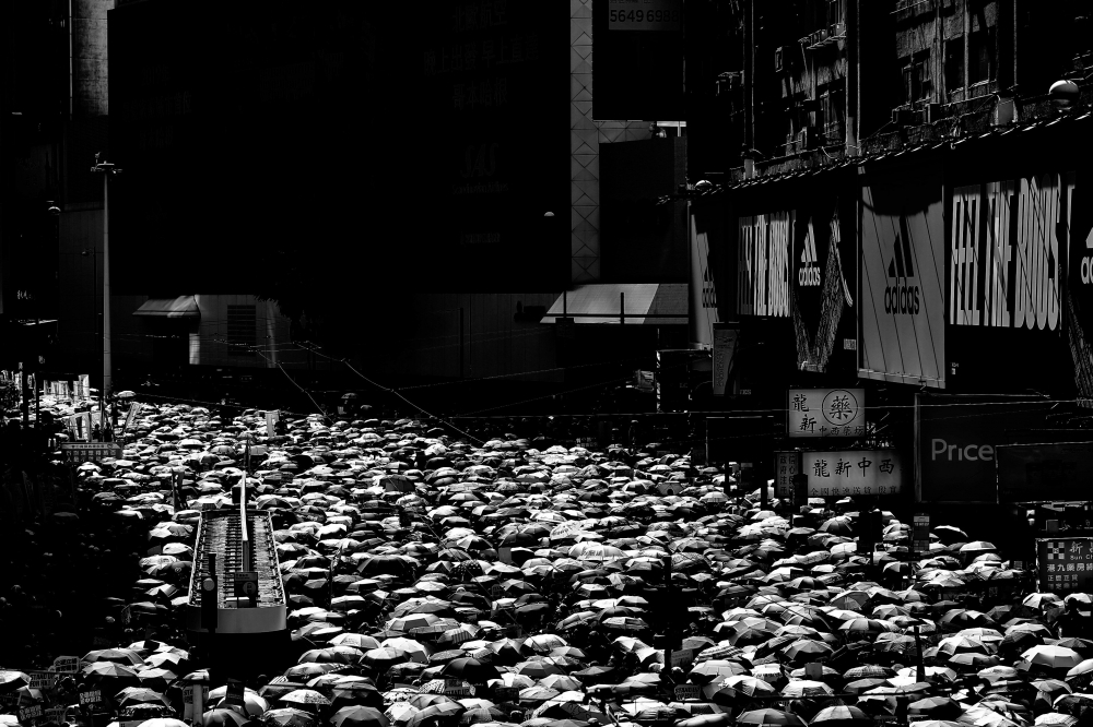 The Umbrella Road