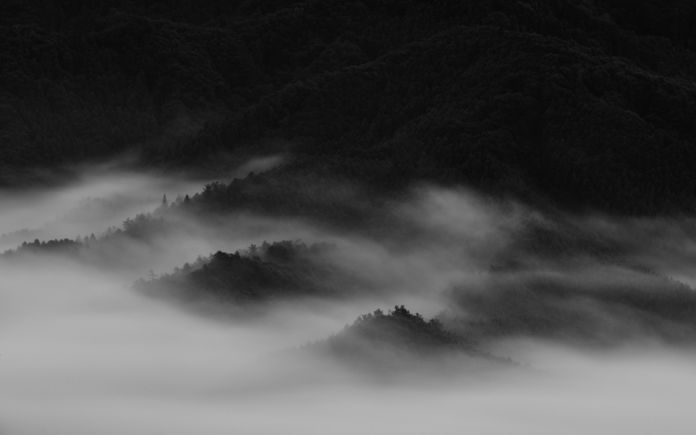 Ridge and fog