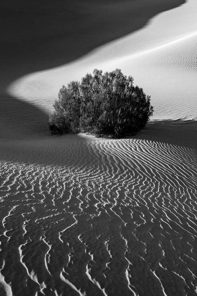 Death Valley Yin & Yang