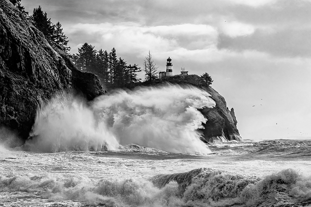 A Stormy Day at Cape Disappointment