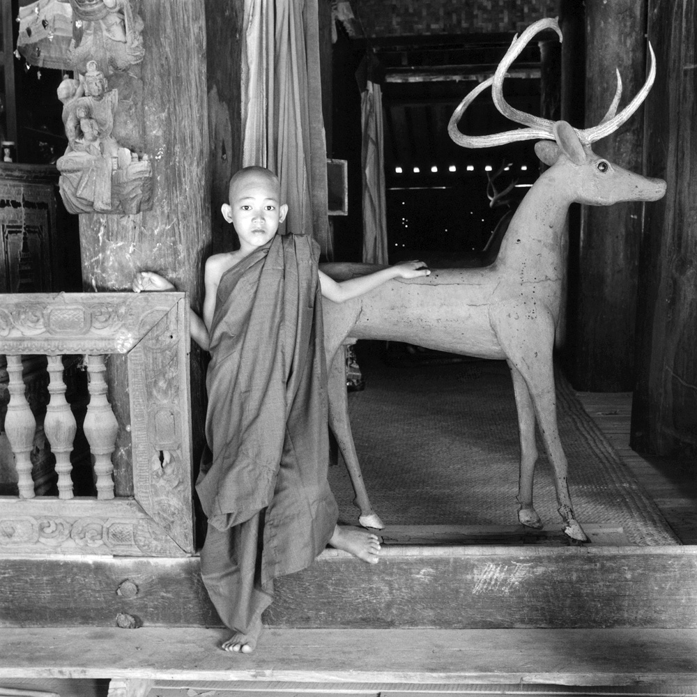 Young Monk with Deer