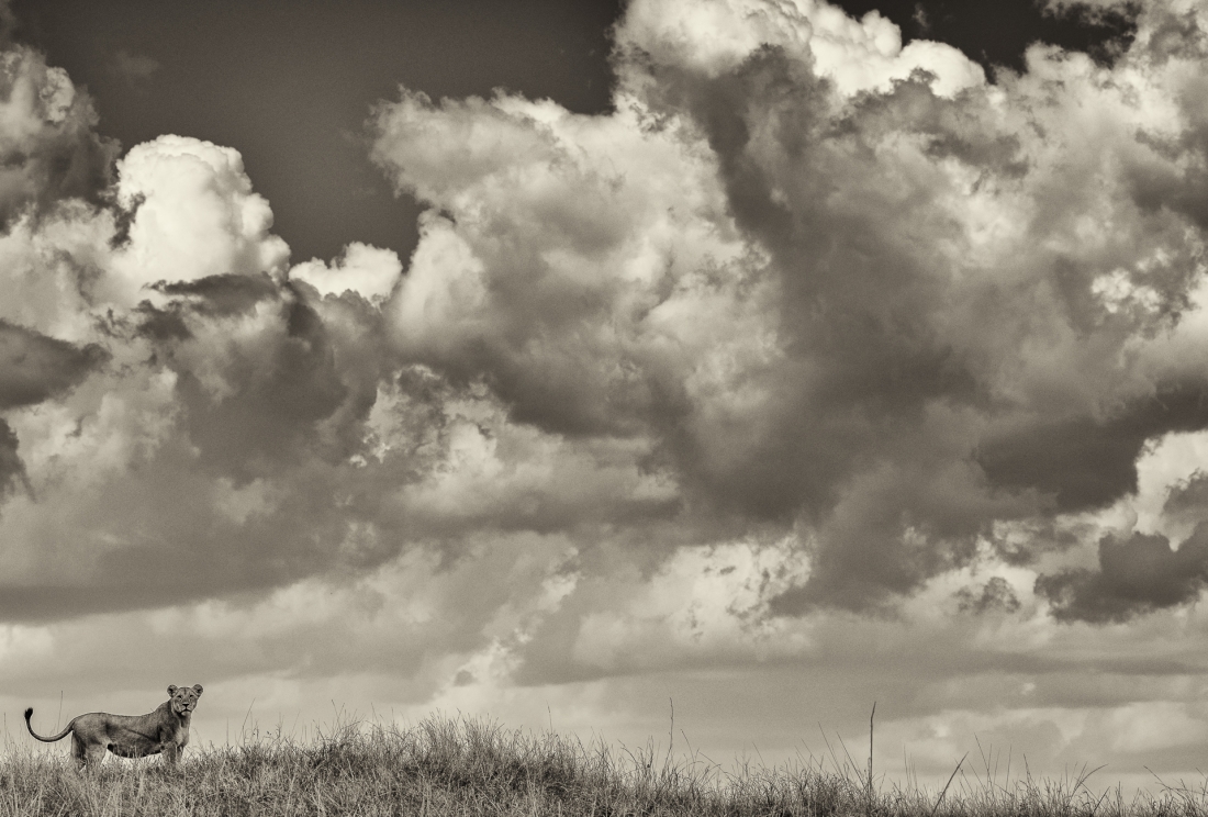 Queen of the Clouds 