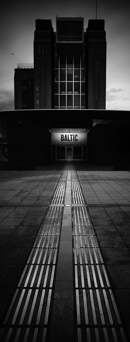 Baltic and Bird