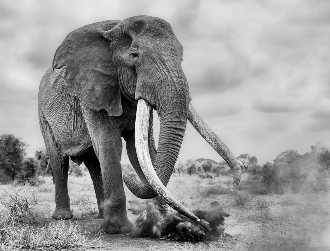 Digging In The Dirt