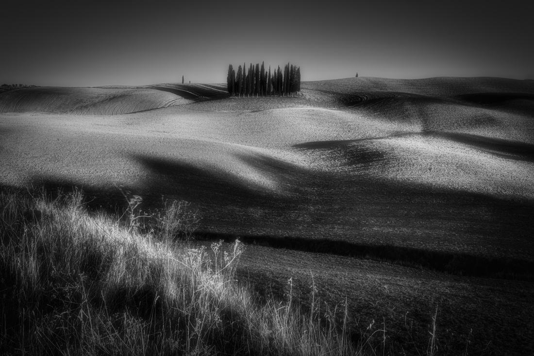  Cipressi di San Quairico d,Orcia 