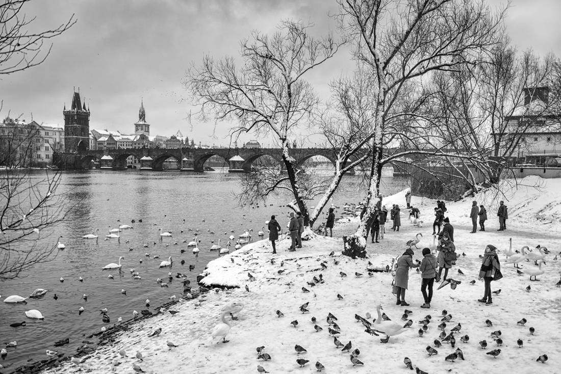 People and birds