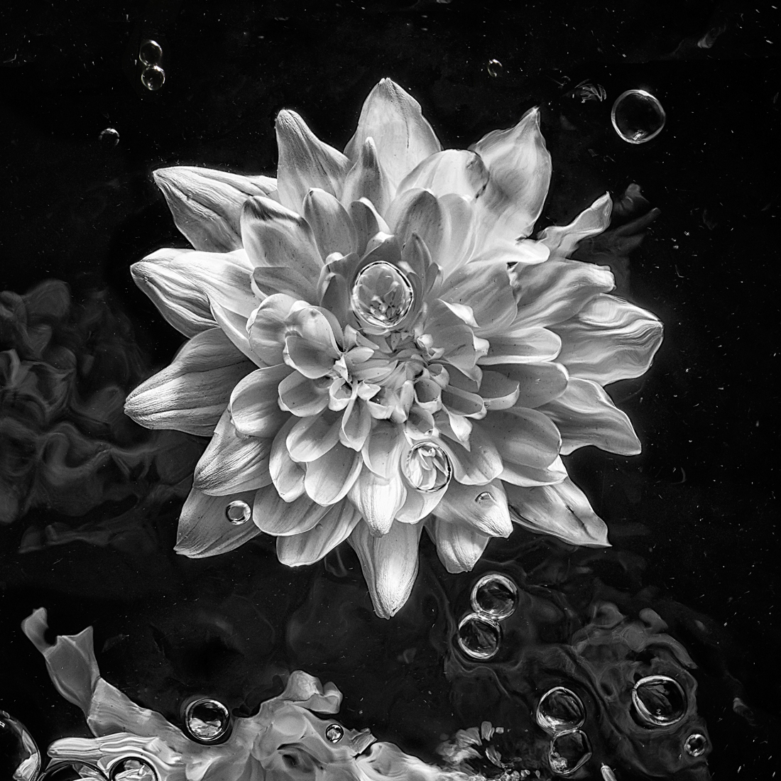 Water Flower Light