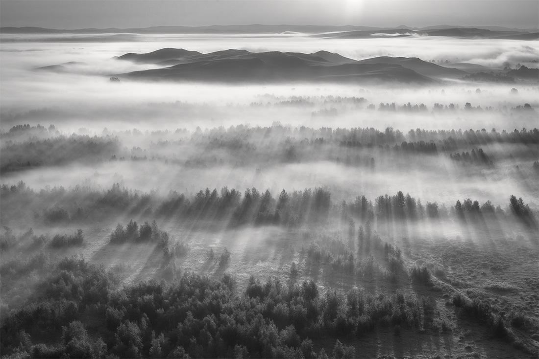 Foggy Land