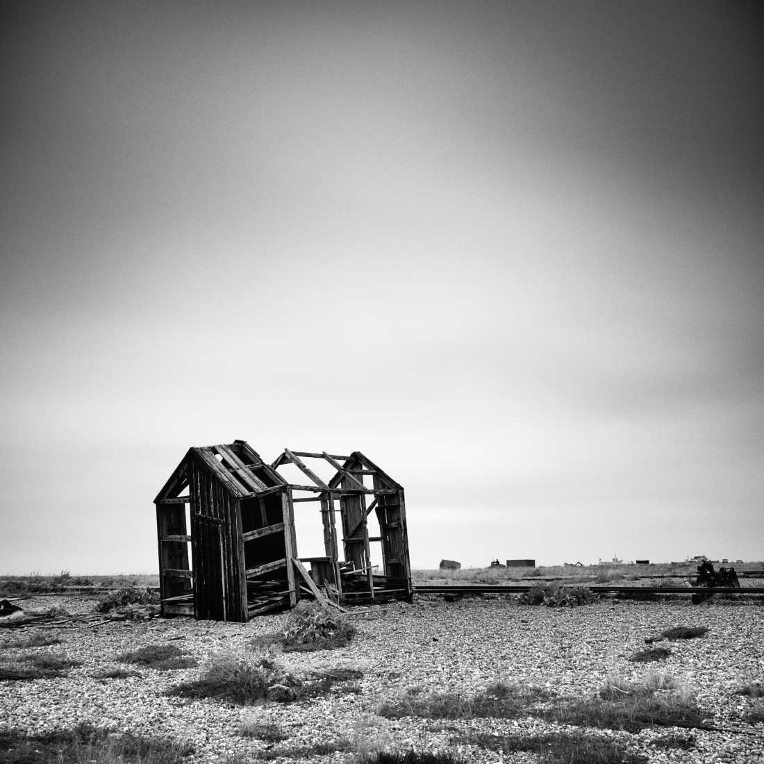 Dungeness