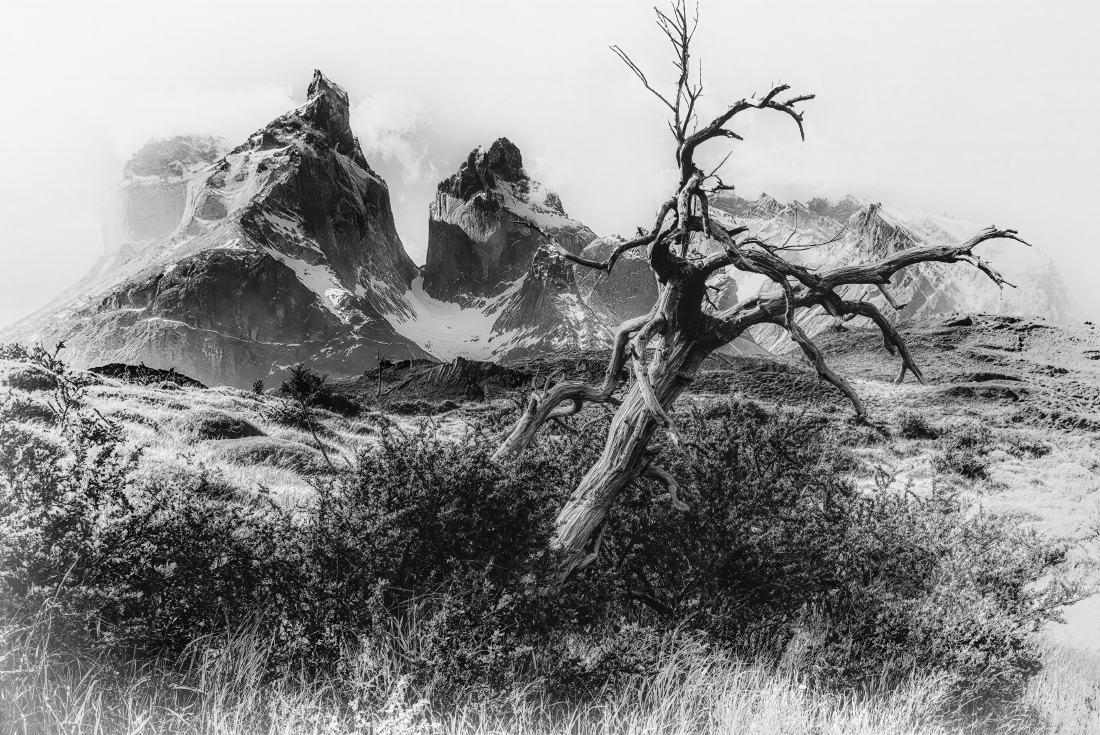 Torres del Paine 