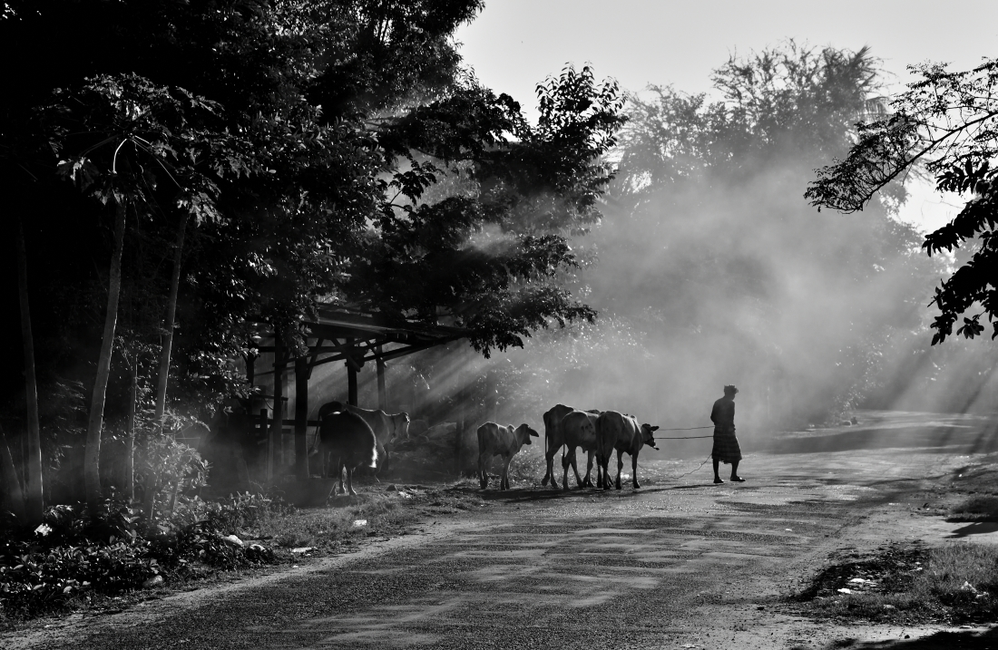 On The Streets of Cambodia