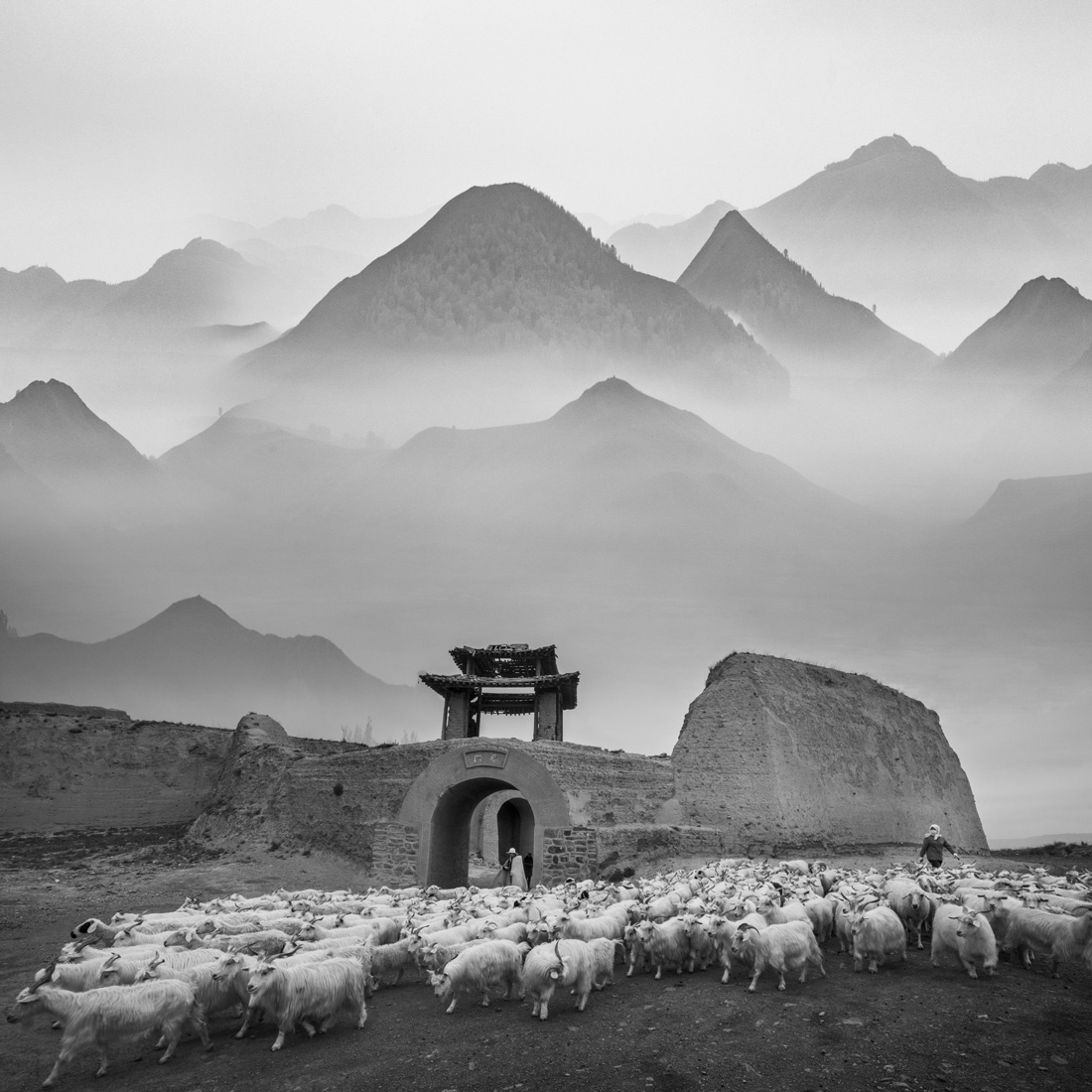 Pastoral in ancient city