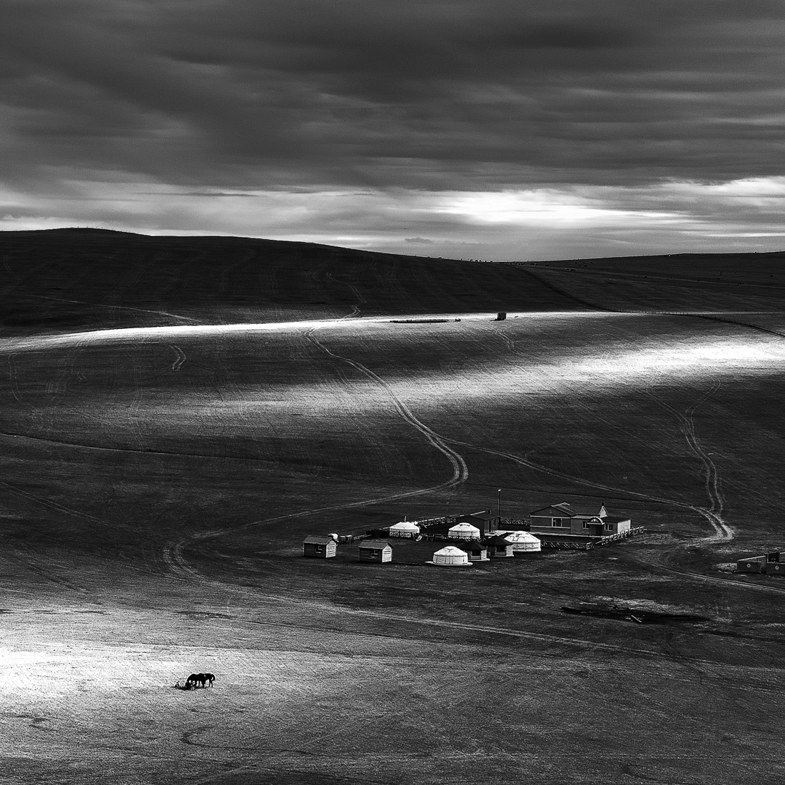 Hulunbuir Grassland