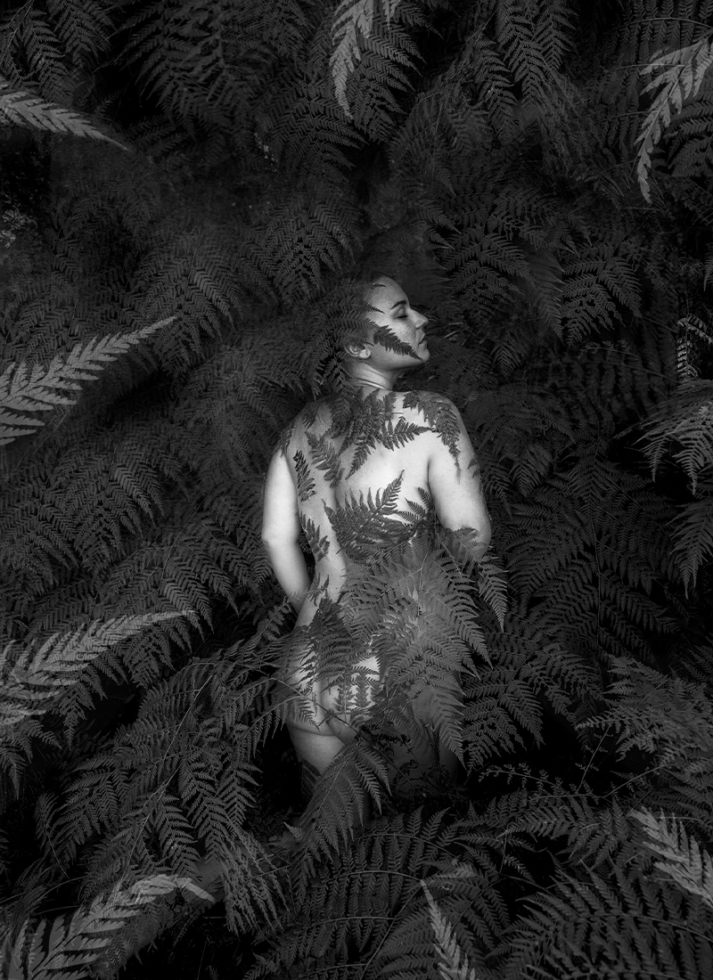 Of the Fern