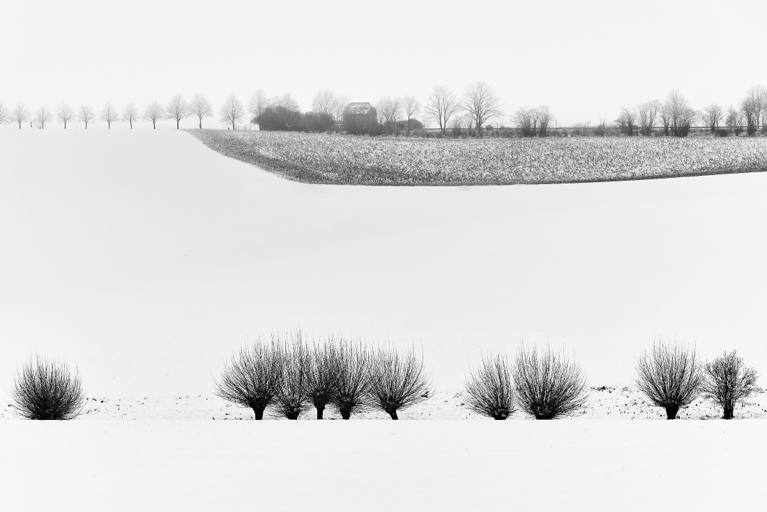 white-landscape