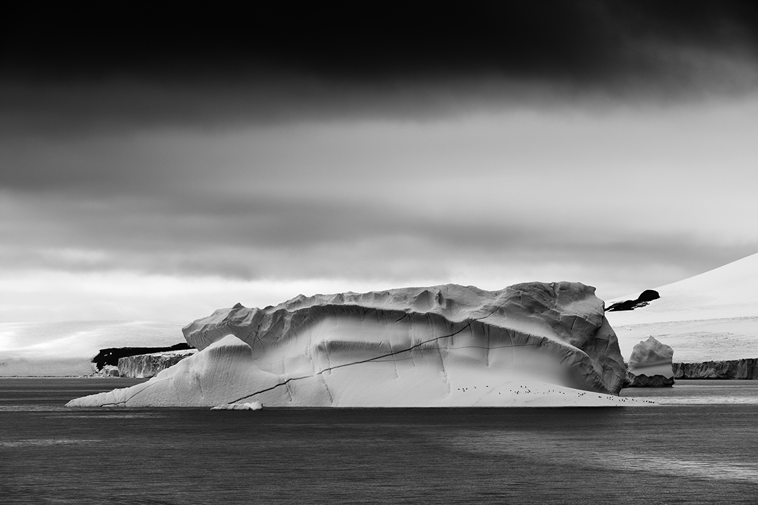 Eroded Iceberg with Penguins. Brown Bluff, Antartica