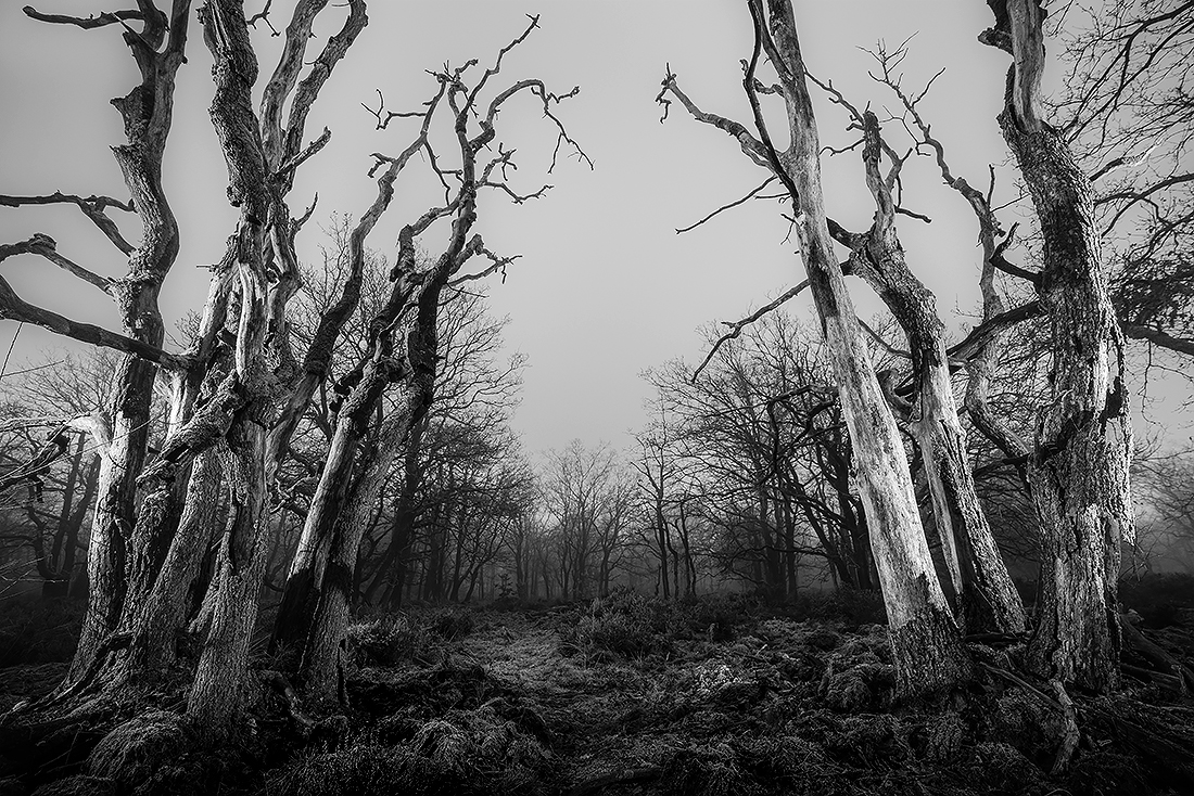 Enigmatic gateway to ancient burial mounds