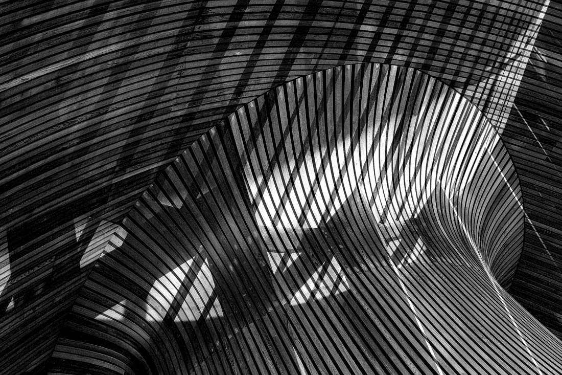 Senedd Waves