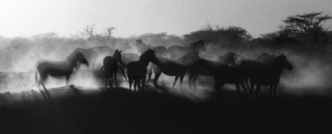 Etosha