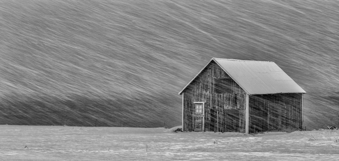 Snow Storm