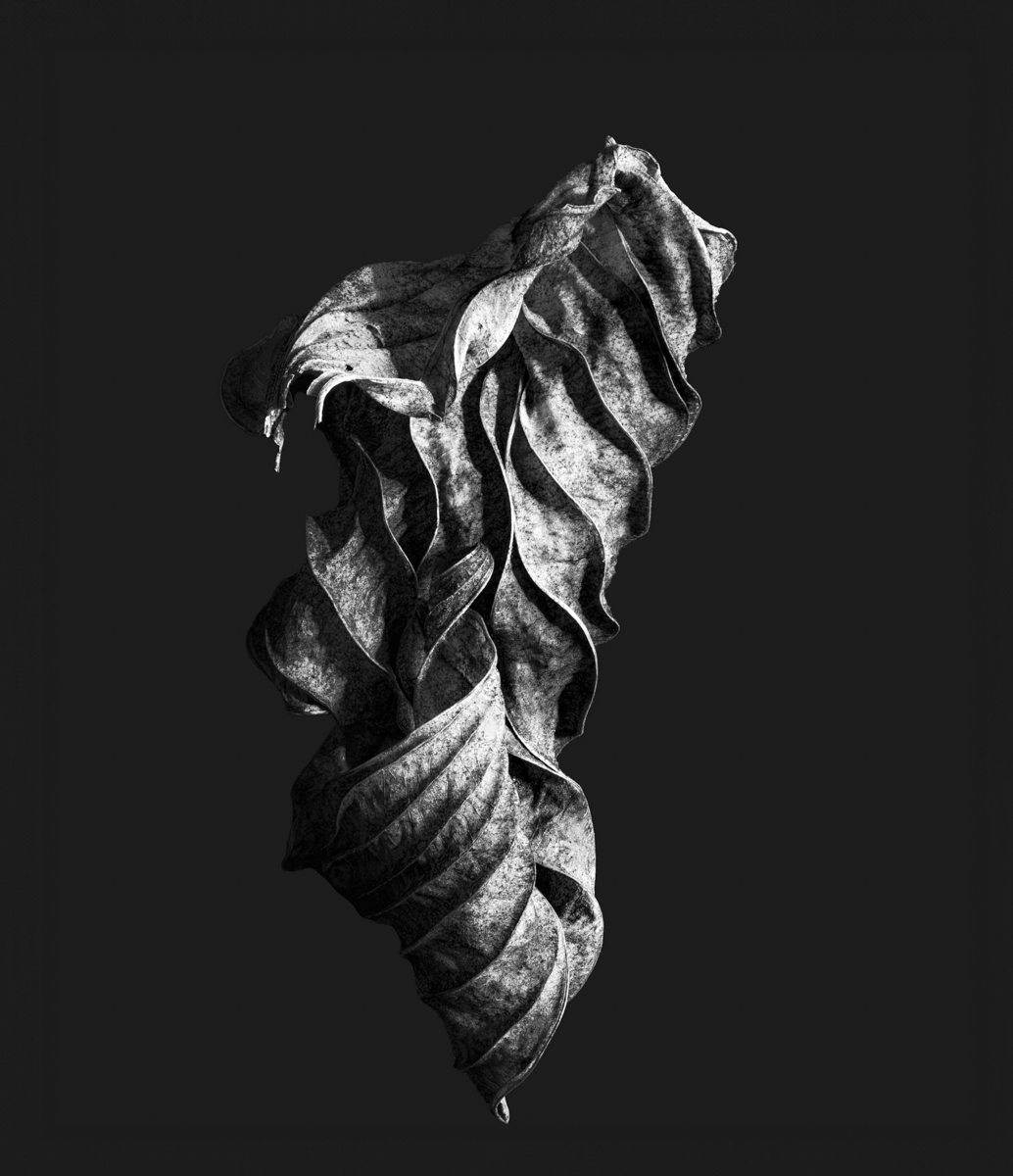 Second Creation, Nr. 130