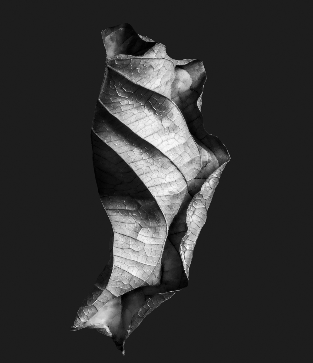 Second Creation, Nr. 121