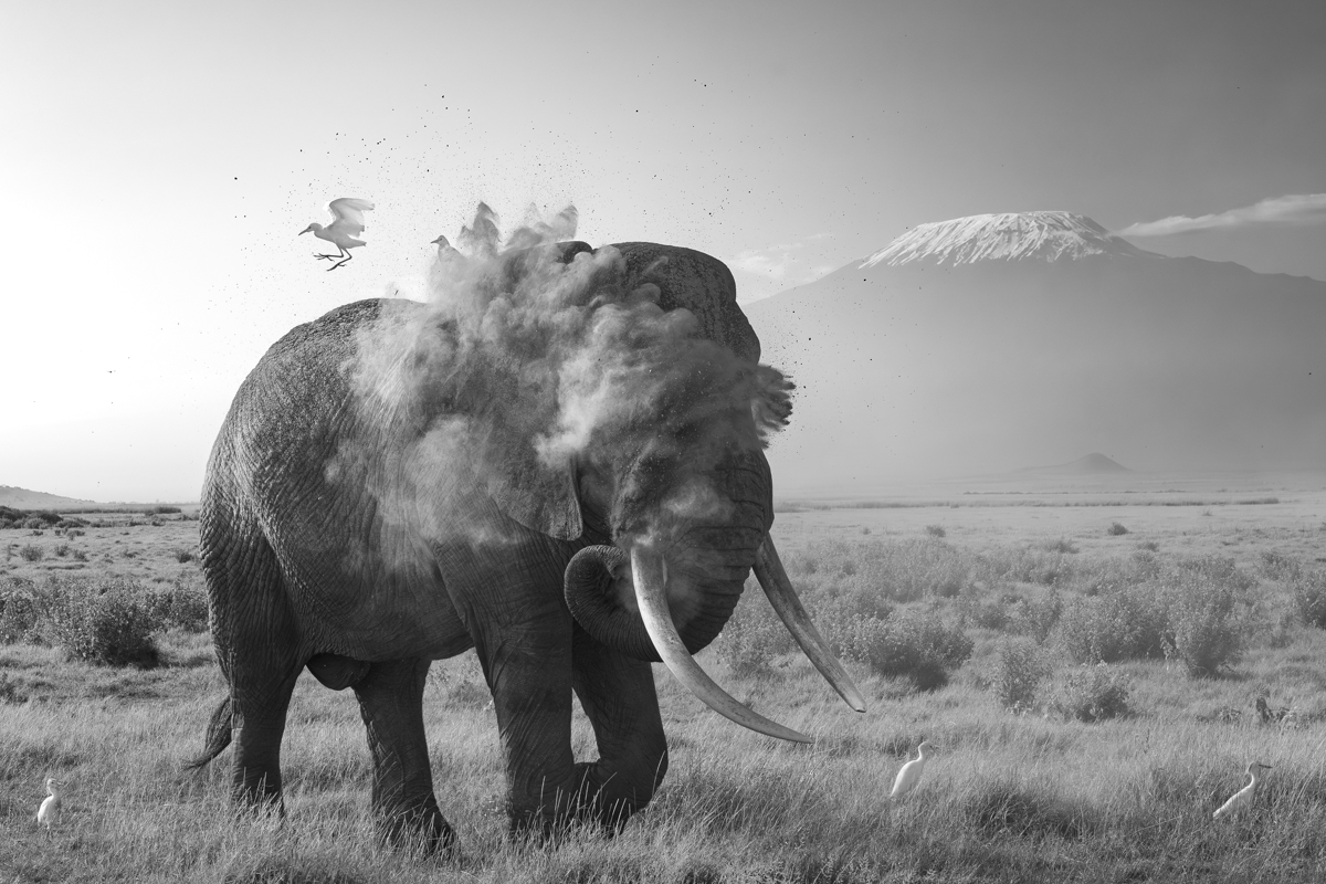 Dust bath 