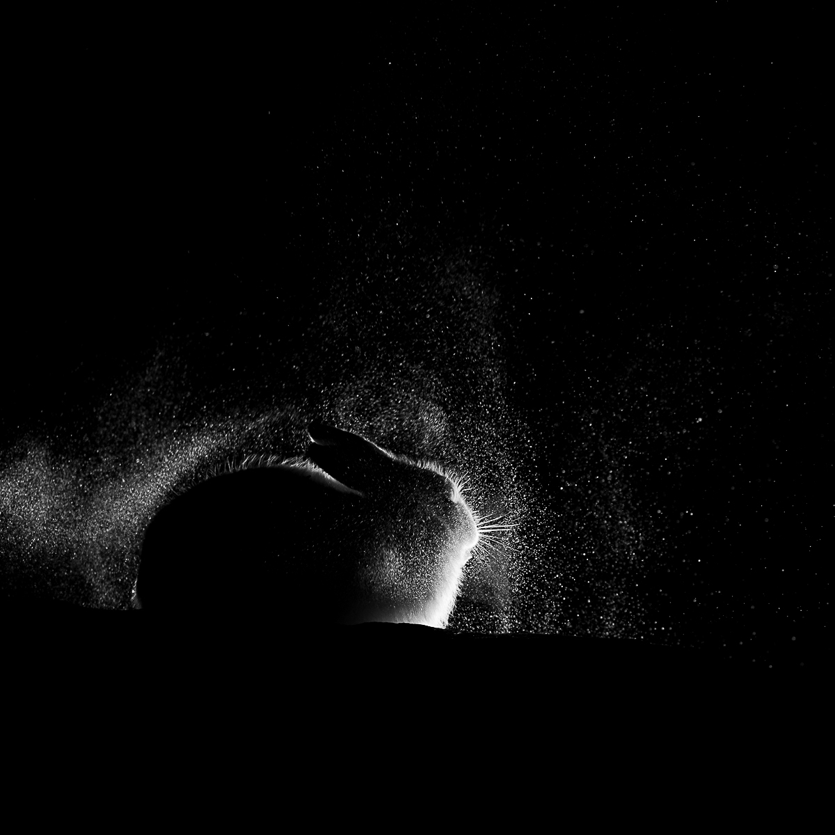 Alone in the darkness