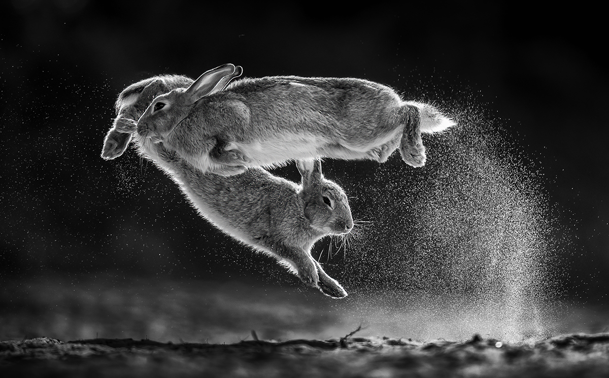 Bunny jumping