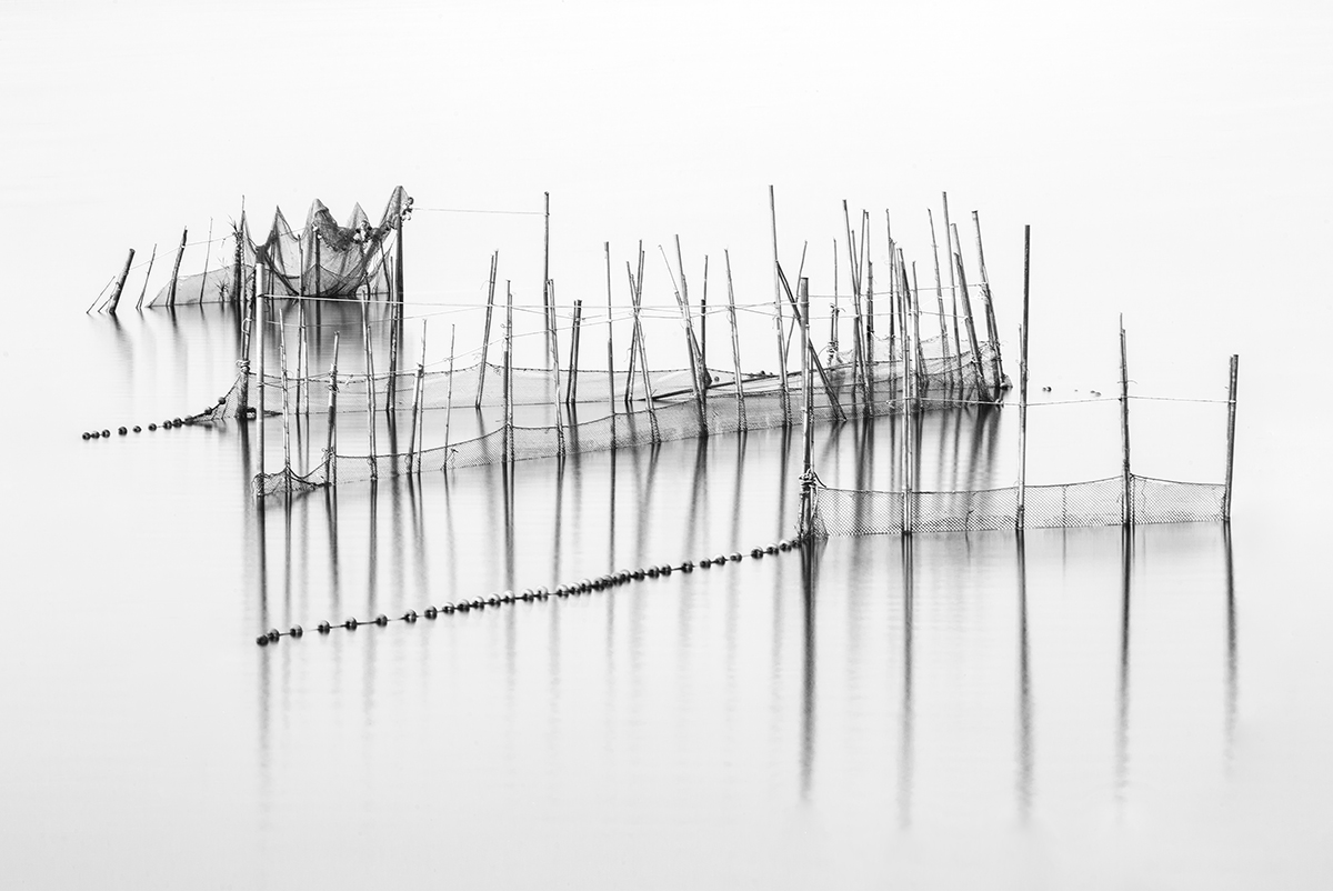 La Albufera 1