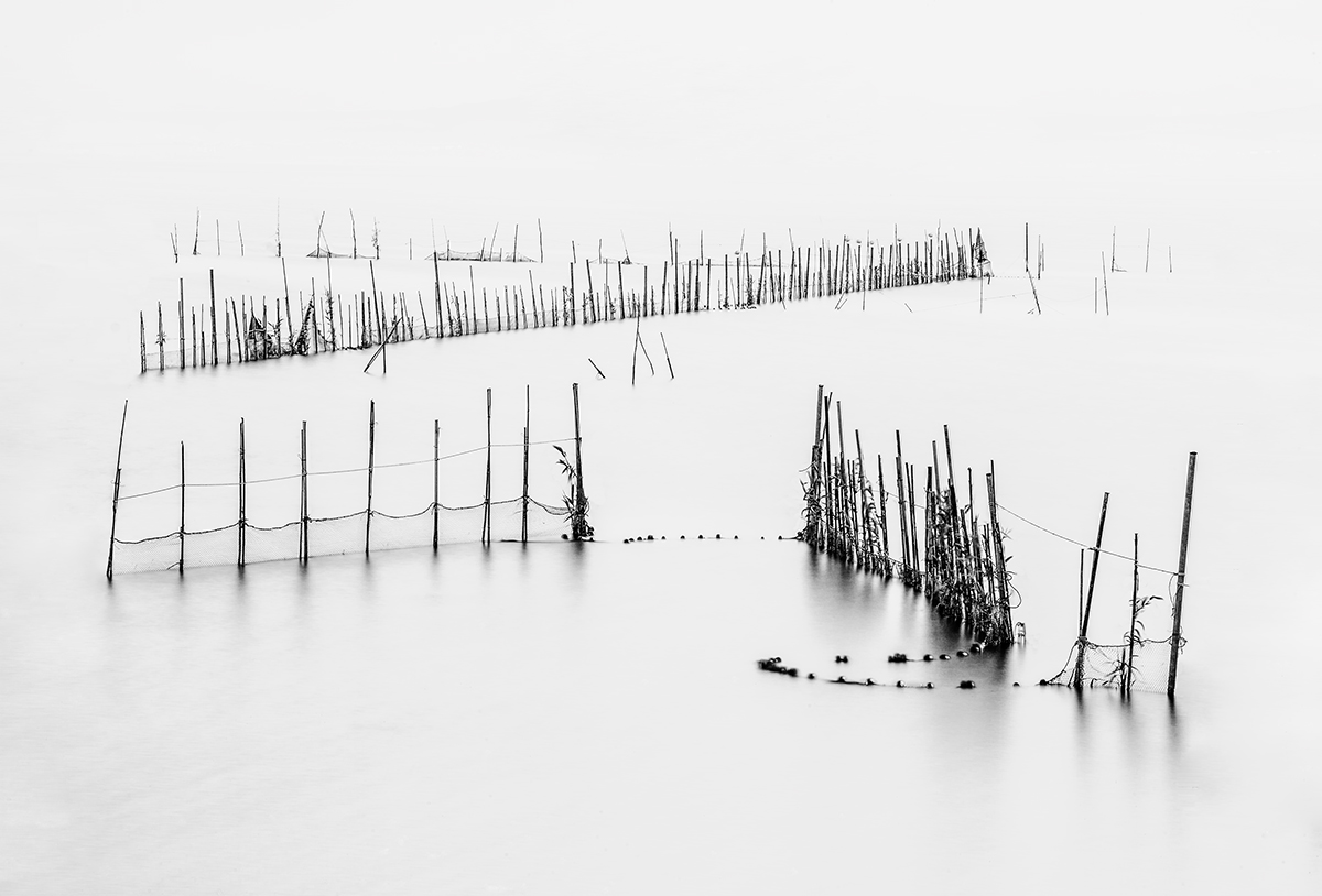 La Albufera 3