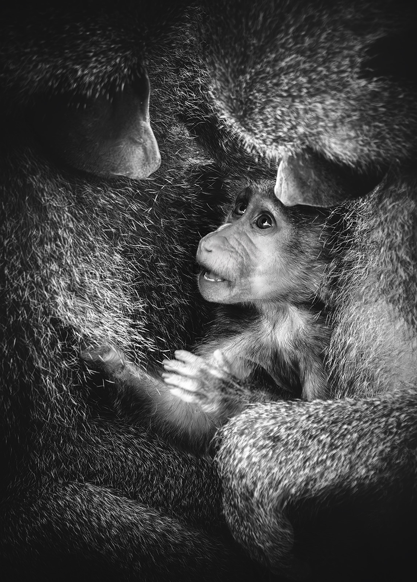 Intimate scenes