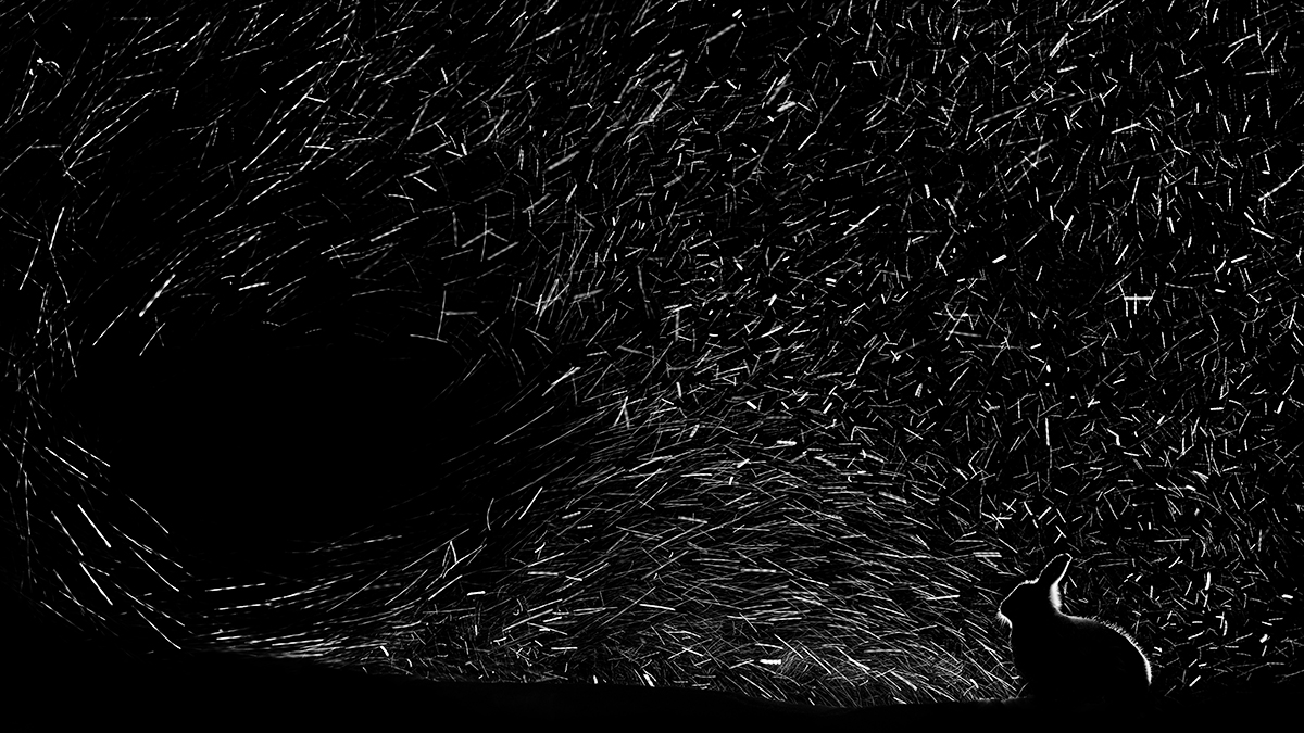 Black hole