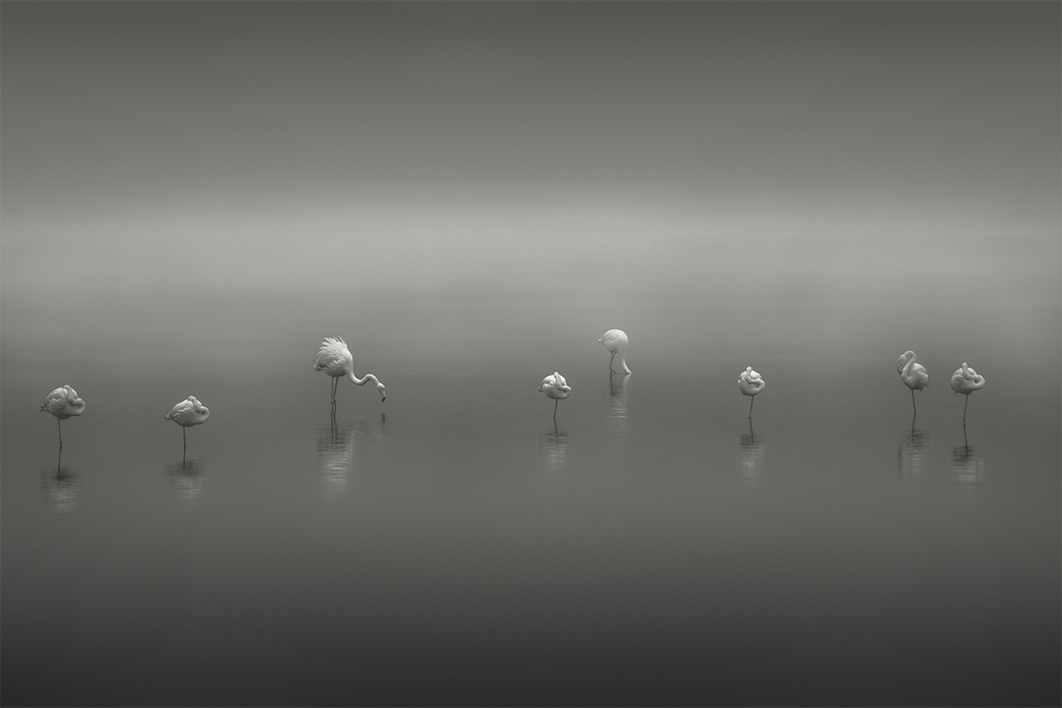 The Gathering