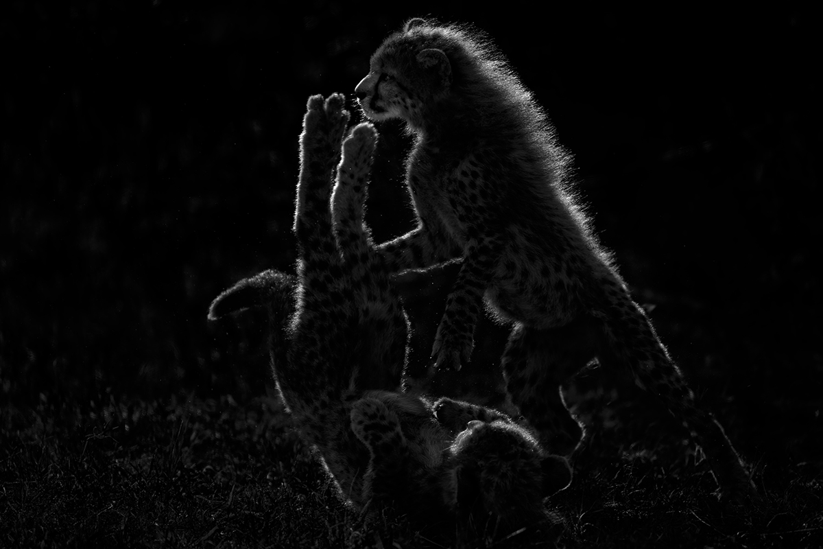 Shadows of Innocence